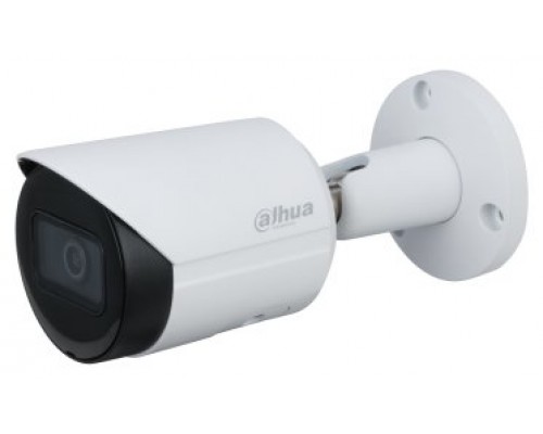 CAMARA VIGILANCIA IP METAL BULLET 4MP LENTE FIJA DAHUA (Espera 4 dias)