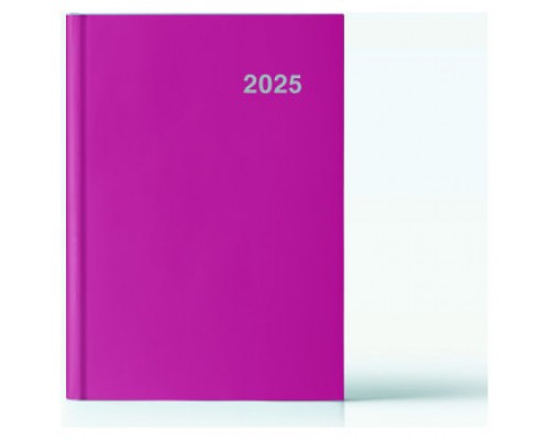 AGENDA 2025 PARIS DIA/PAGINA 15X21 FUCSIA CASTELLANO INGRAF 355415 (Espera 4 dias)