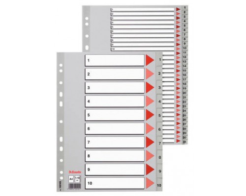 SEPARADOR NUMERICO POLIPROPILENO MULTITALADRO 1-12 FORMATO FOLIO COLOR GRIS ESSELTE 47138 (Espera 4 dias)