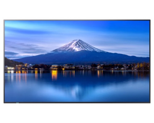 SHARP/NEC MultiSync P656 Diseño de quiosco 163,8 cm (64.5") LED 700 cd / m² 4K Ultra HD Negro Procesador incorporado (Espera 4 dias)