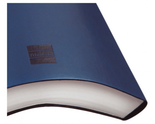 AGENDA 2026 DYNAMIC MARA Y10 140X204MM DIA PAGINA AZUL FINOCAM 621161026 (Espera 4 dias)