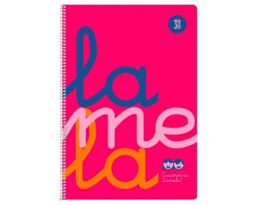 CUADERNO FOLIO PLASTIC RAYADO 3 MM 80 HOJAS 90 GRS ROSA LAMELA 7FTP003R (MIN5) (Espera 4 dias)