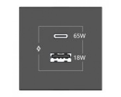 KRAMER CONNECT - ROOM CONNECTIVITY BLACK USBC 65W PORT AND U (Espera 4 dias)