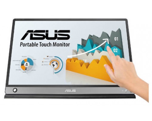 ASUS MB16AMT monitor pantalla táctil 39,6 cm (15.6") 1920 x 1080 Pixeles Multi-touch Mesa Gris (Espera 4 dias)