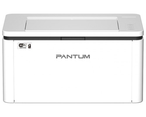 Impresora Laser Monocromo Pantum Bp2300w 22pp 256mb