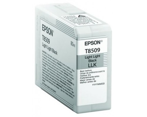 TINTA EPSON C13T850900 NEGRO LIGHT (Espera 4 dias)