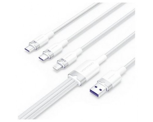 CABLE VENTION CTPWG