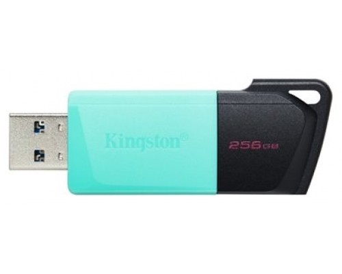 Memoria Usb 256gb Kingston Dtxm/256 Usb3.2 Exodia M