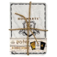 PACK DE 3 CUADERNOS A6 HARRY POTTER HOGWARTS BLUE SKY HP148444 (Espera 4 dias)