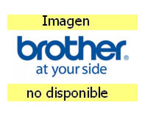 BROTHER DOCUMENT TRAY ASSY