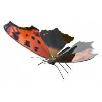 MAQUETA 3D METAL FASCINATIONS MARIPOSA EASTERN COMMA