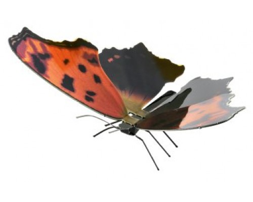 MAQUETA 3D METAL FASCINATIONS MARIPOSA EASTERN COMMA