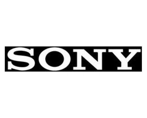 SONY (NUEVAS GARANTIAS NON-PHYSICAL) +2Y PRO, TOTAL 5 YEARS OR 30,000 HOURS (PSP.FW100BZ40J.PO2) (Espera 4 dias)