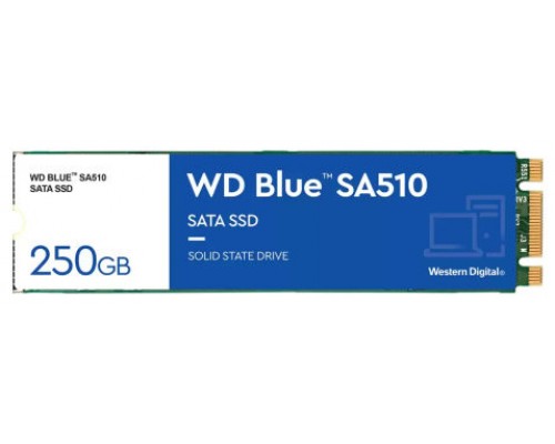WD-SSD M2 SA WD BL SA510 250